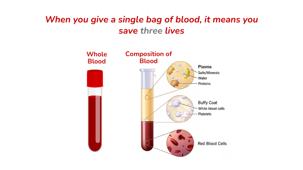 Thalassemia awareness